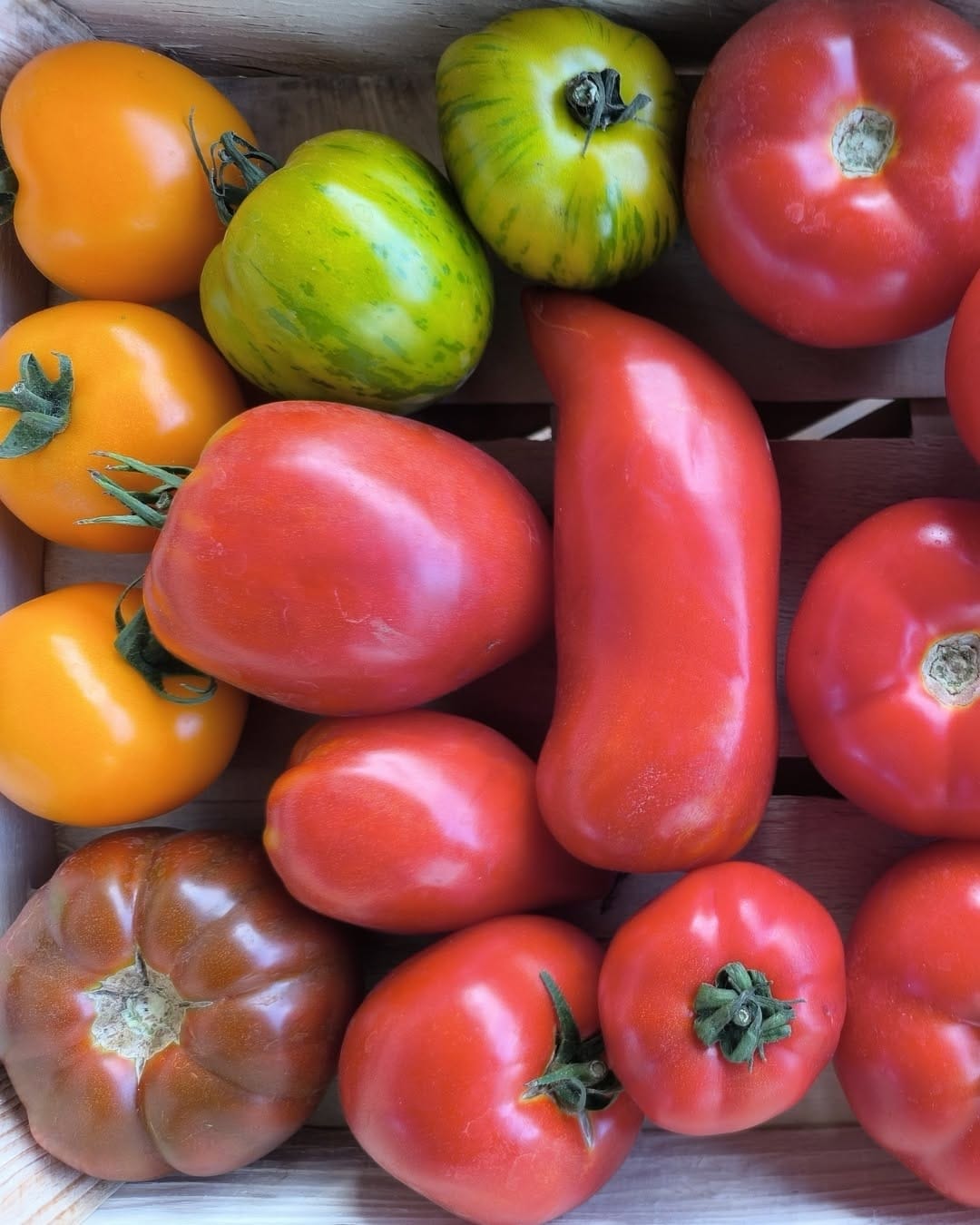 Post 1 by MiiMOSA on Instagram (image)