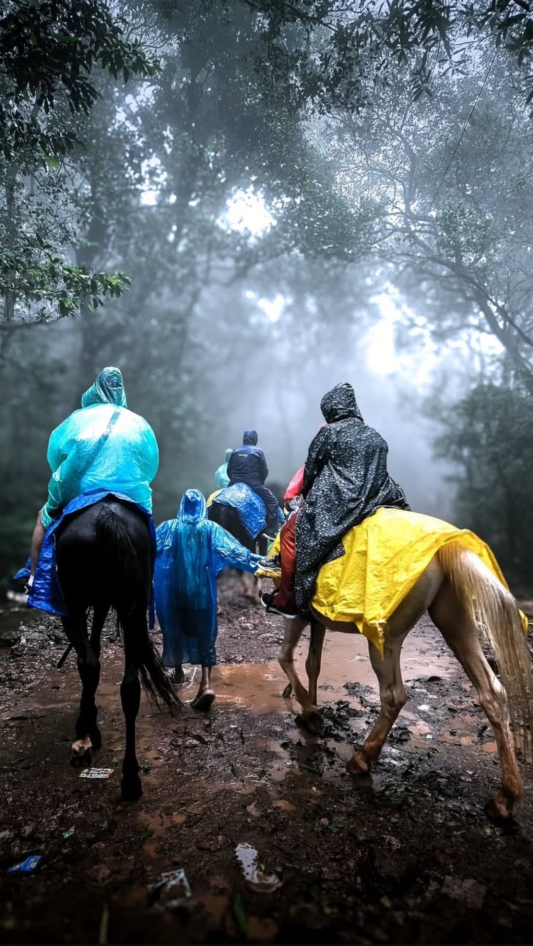 Post 5 by Vishnu koledath on Instagram (video)