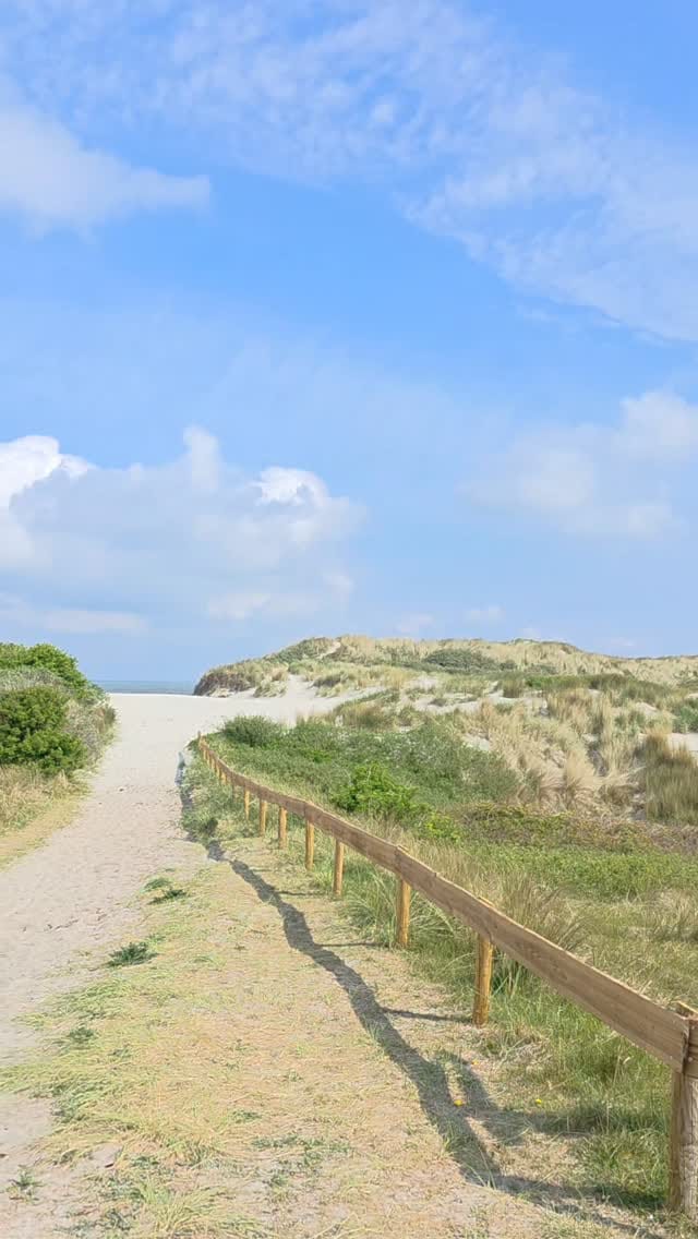 Post 7 by Ameland | Camping | Nordsee on Instagram (video)