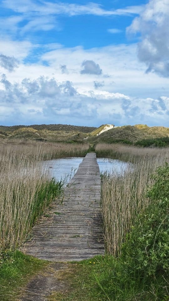 Post 5 by Ameland | Camping | Nordsee on Instagram (video)