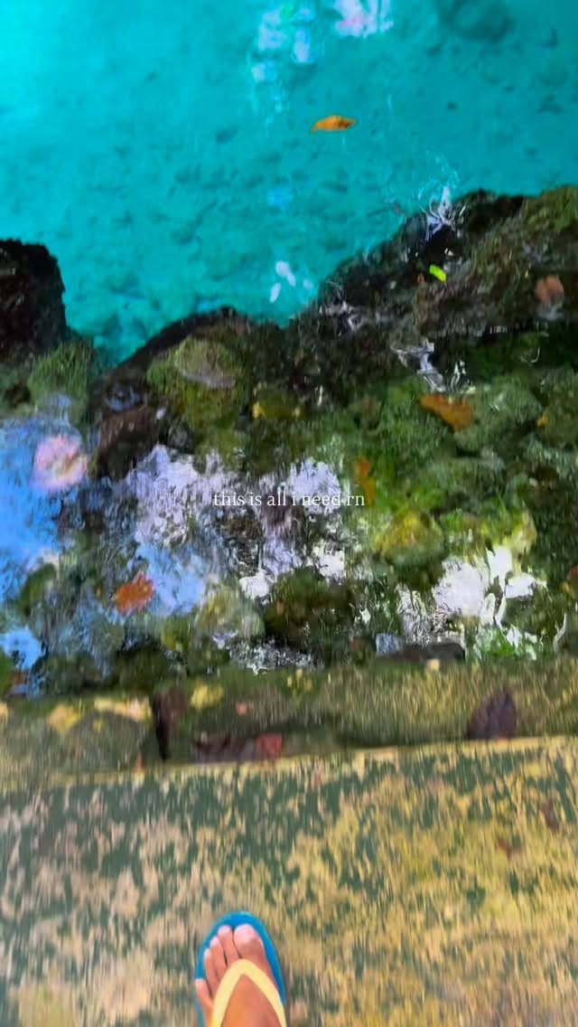 Post 1 by MICHAEL WAGEY on Instagram (video)