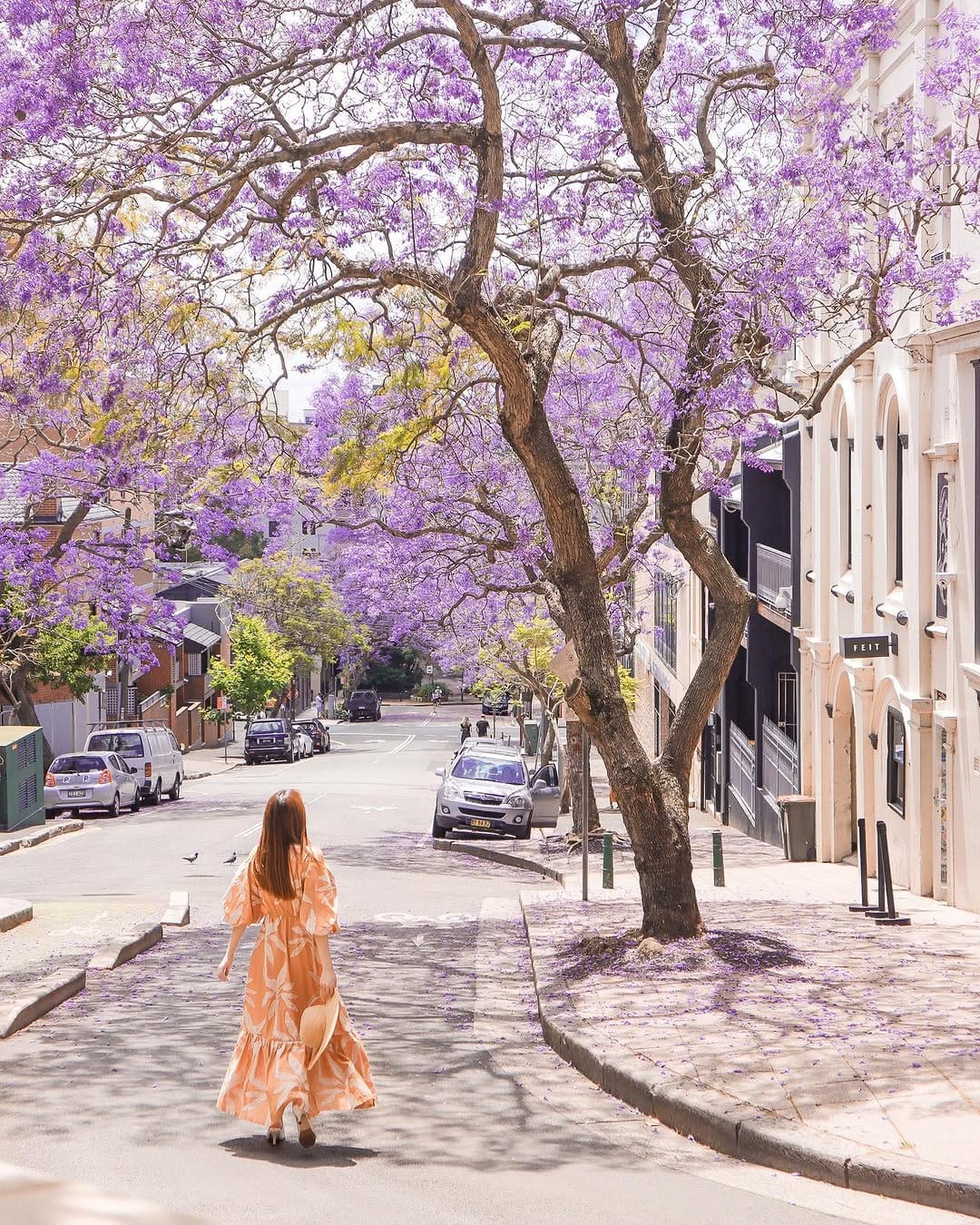 Post 10 by Jing Z ♡ Sydney Blogger on Instagram (carousel)