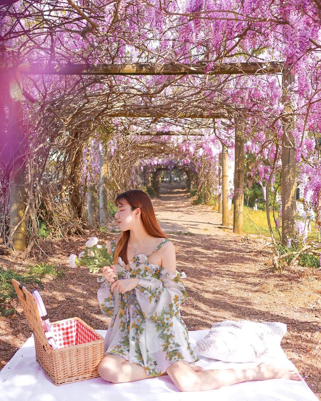 Post 9 by Jing Z ♡ Sydney Blogger on Instagram (image)