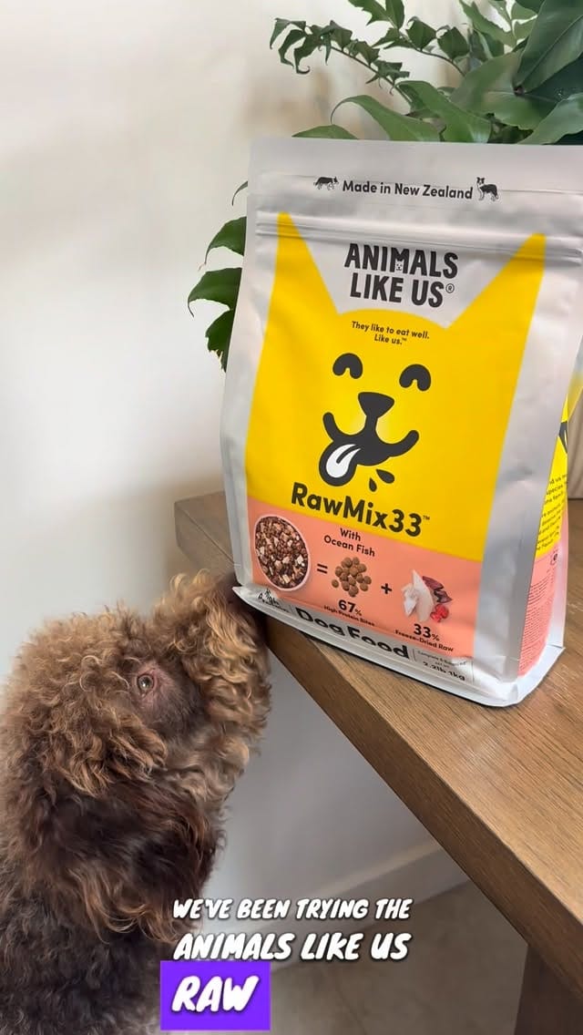 Post 2 by Michelle Scanlan ~Sydney Content Creator -Australia 🇦🇺 on Instagram (video)