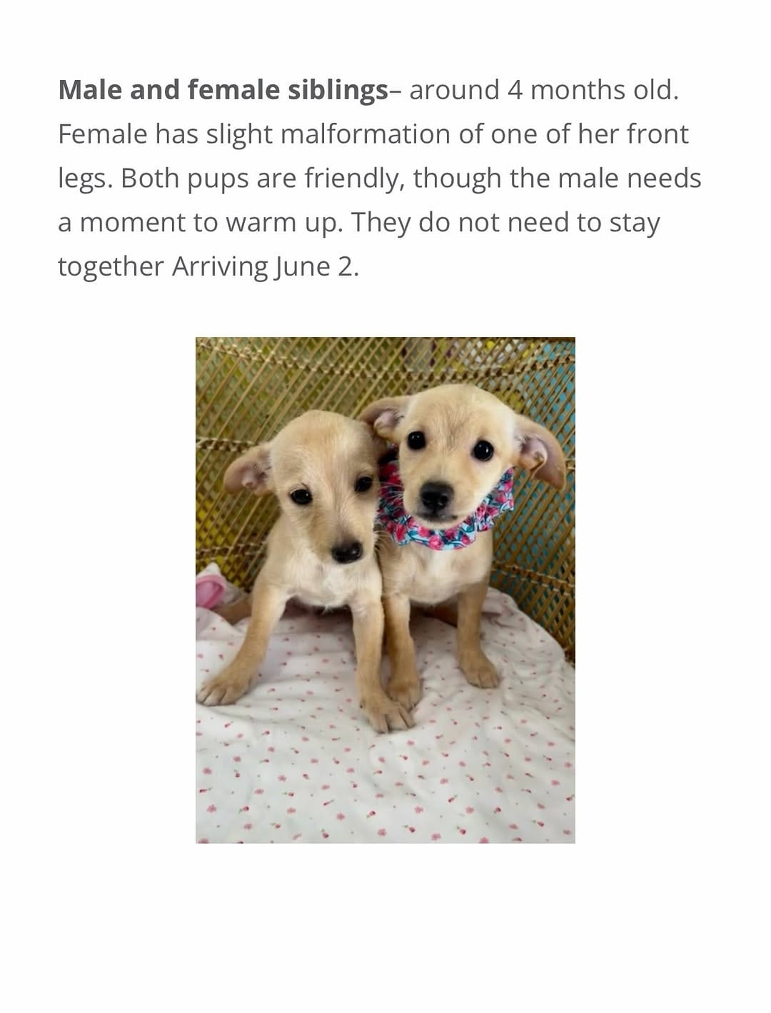 Post 3 by Saving Great Animals on Instagram (carousel)