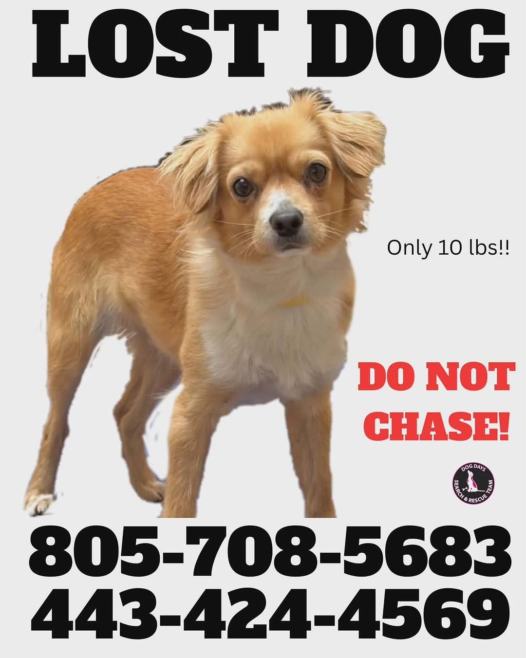 Post 10 by Spark Rescue Santa Barbara on Instagram (image)