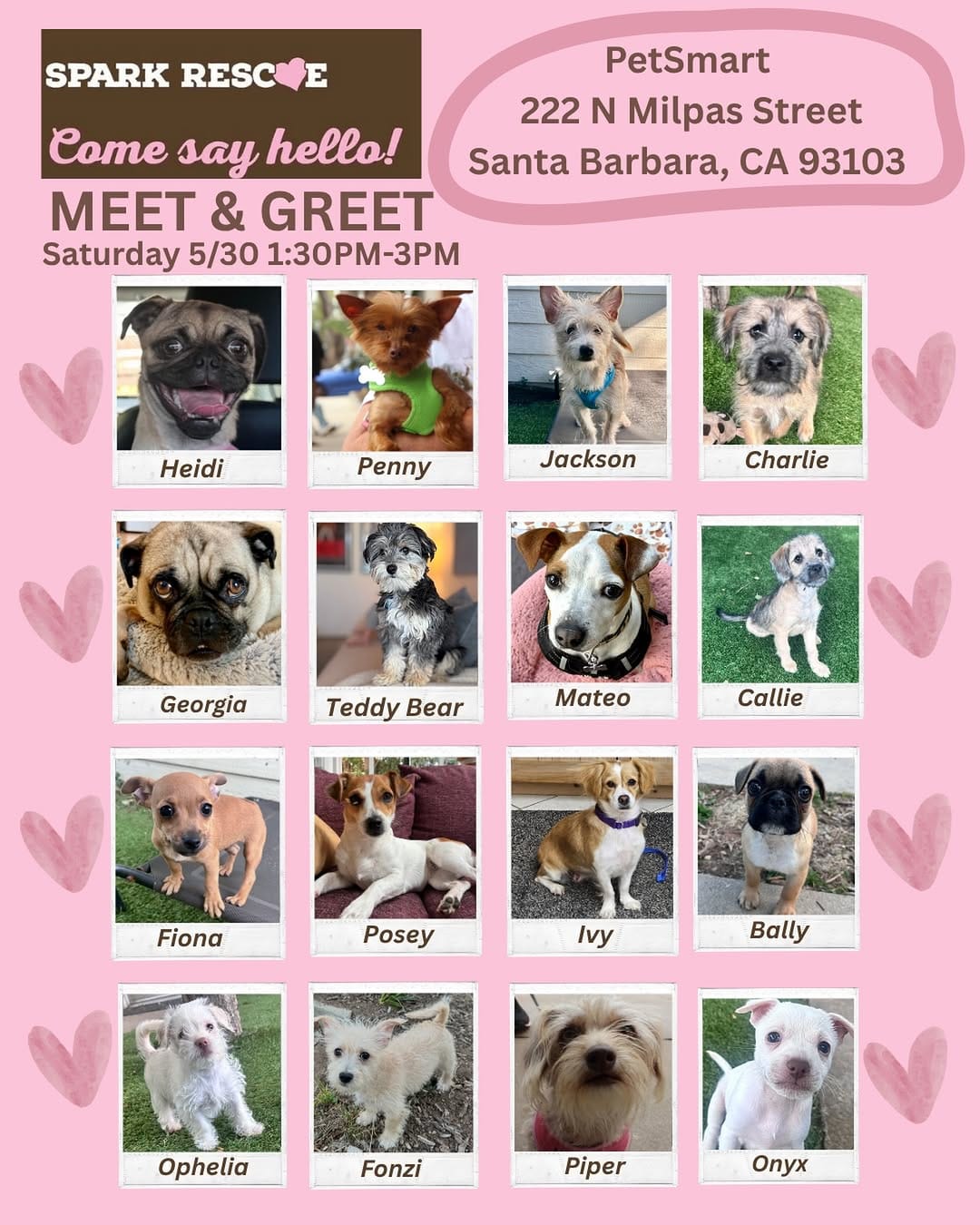 Post 8 by Spark Rescue Santa Barbara on Instagram (image)