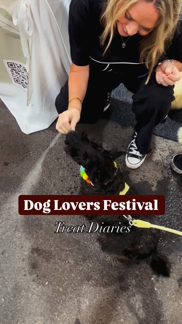 Post 8 by Dog Lovers Festival on Instagram (video)