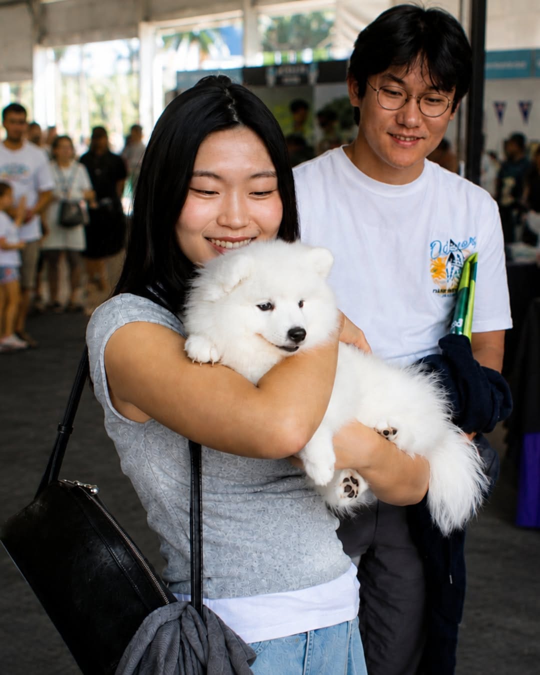 Post 7 by Dog Lovers Festival on Instagram (carousel)