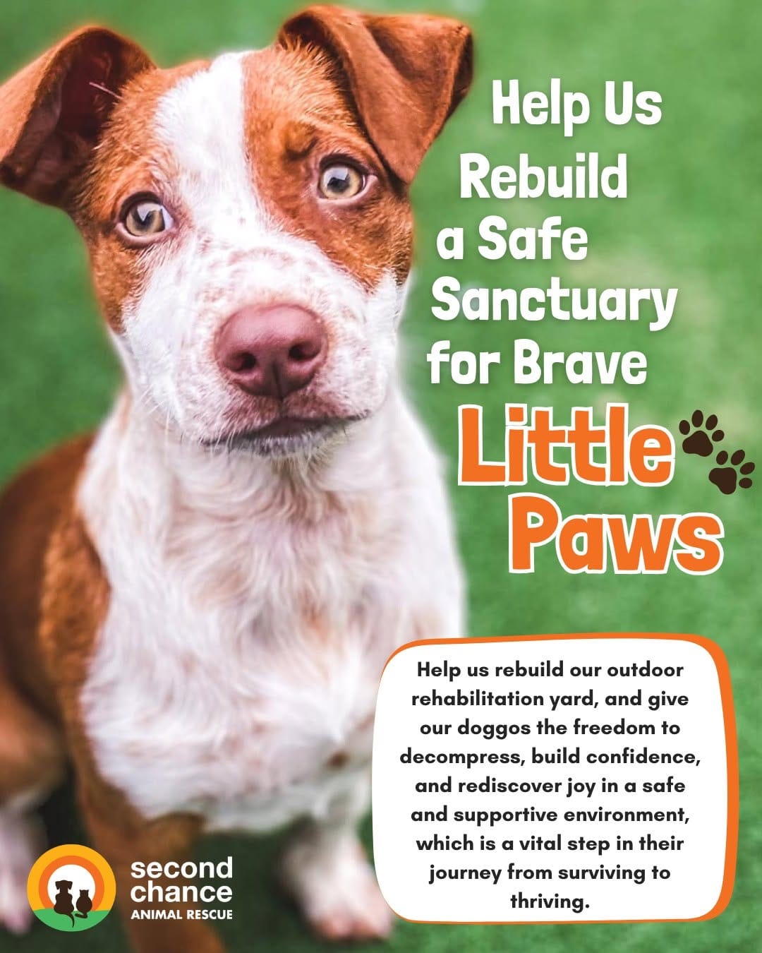 Post 10 by Second Chance Animal Rescue on Instagram (image)