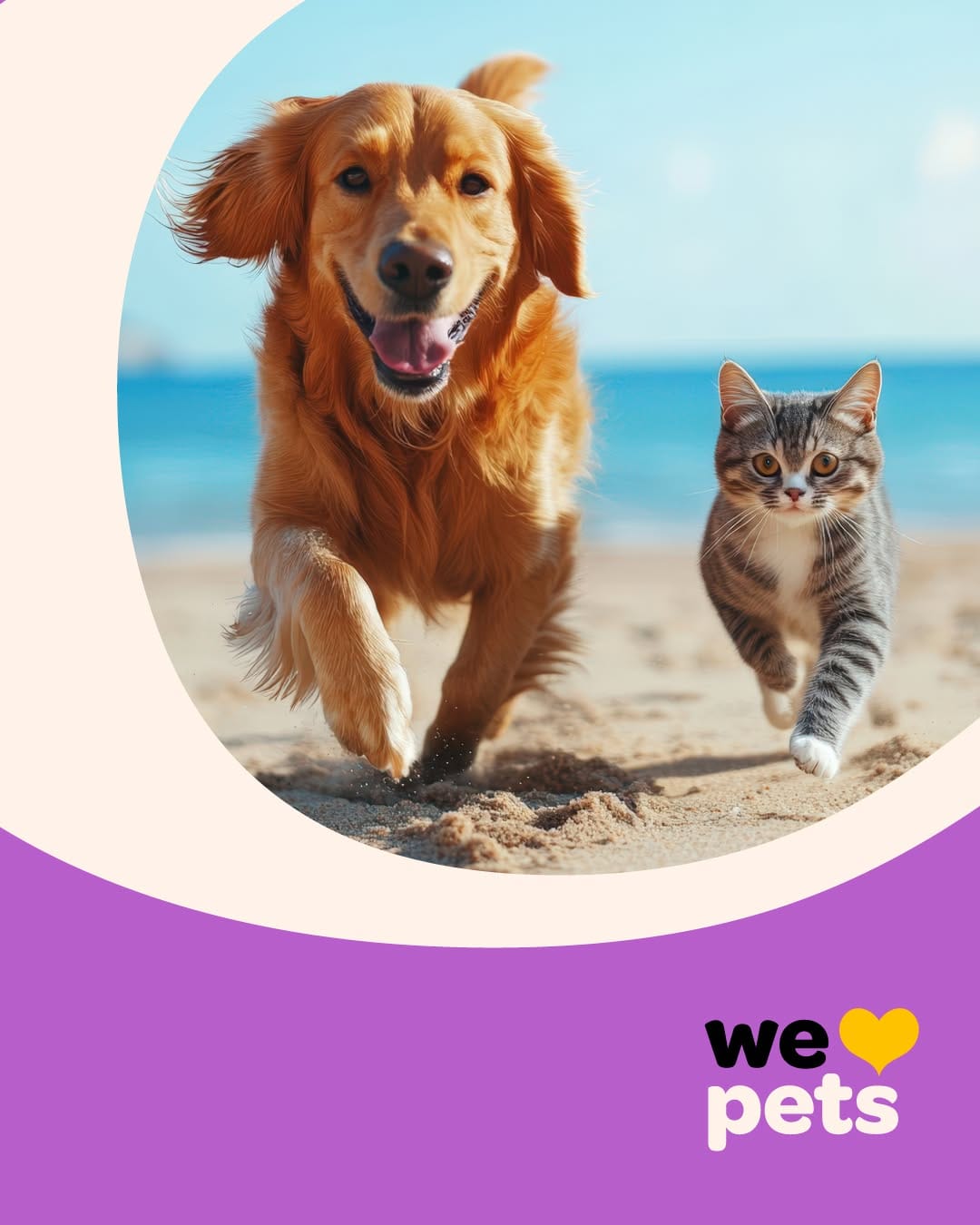 Post 1 by Pet City on Instagram (image)