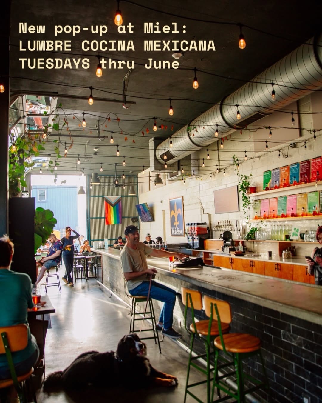 Post 6 by Miel Brewery & Taproom on Instagram (carousel)