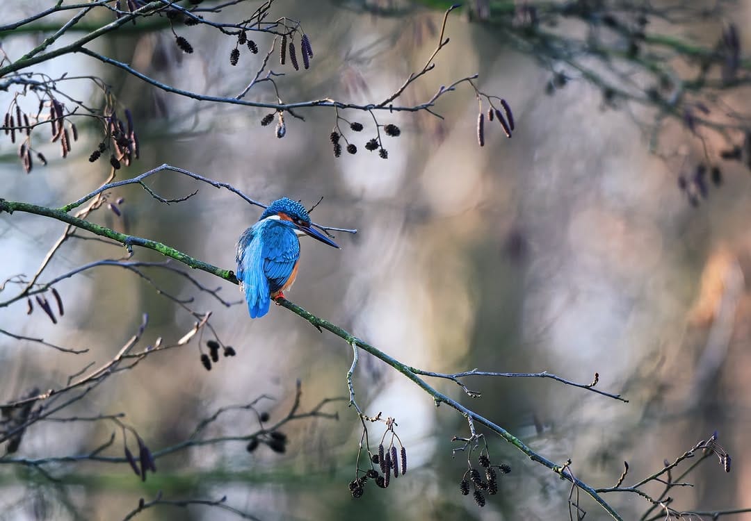 Post 1 by Andreas Feldtkeller on Instagram (image)
