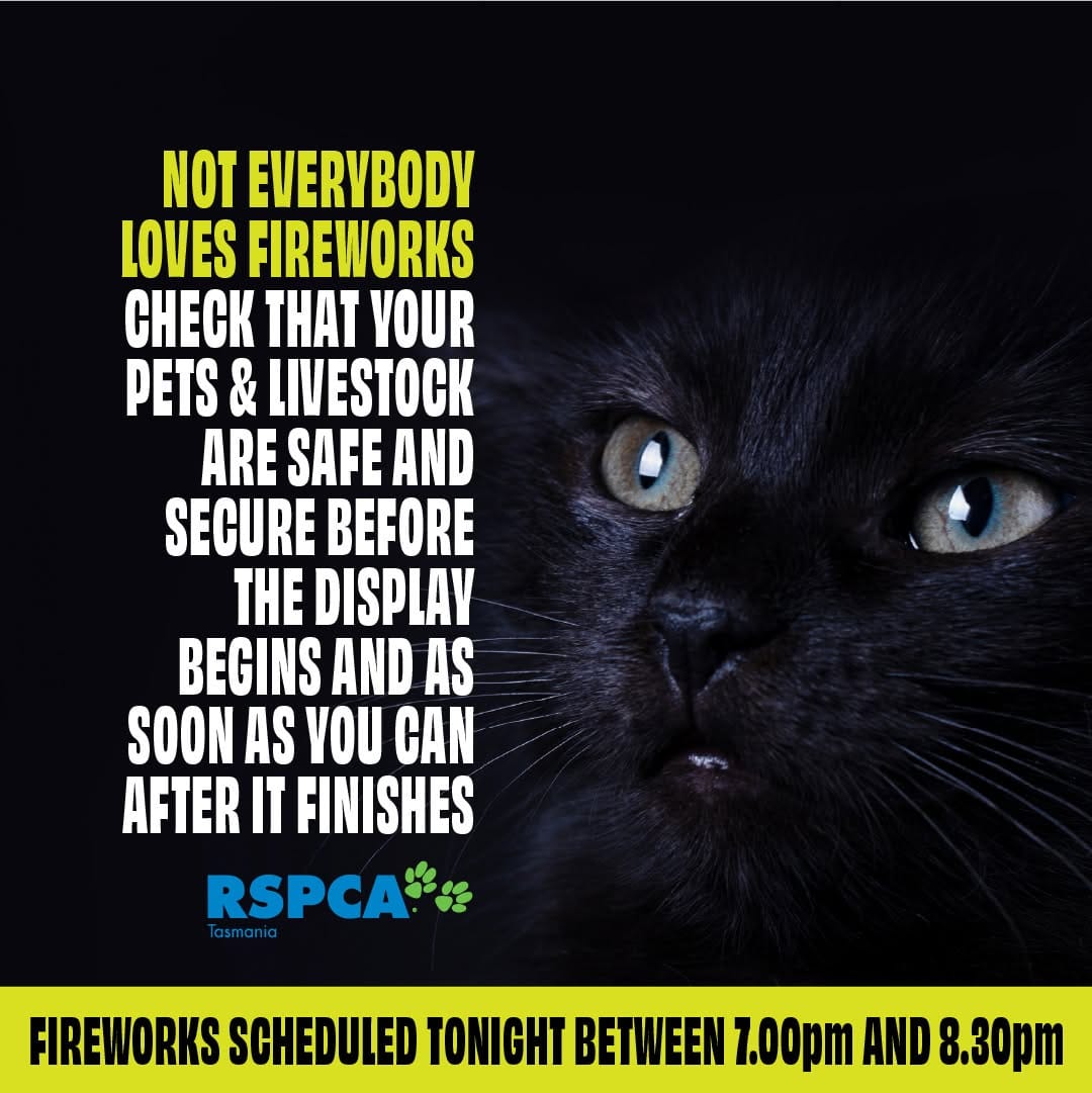 Post 5 by RSPCA Tasmania on Instagram (image)