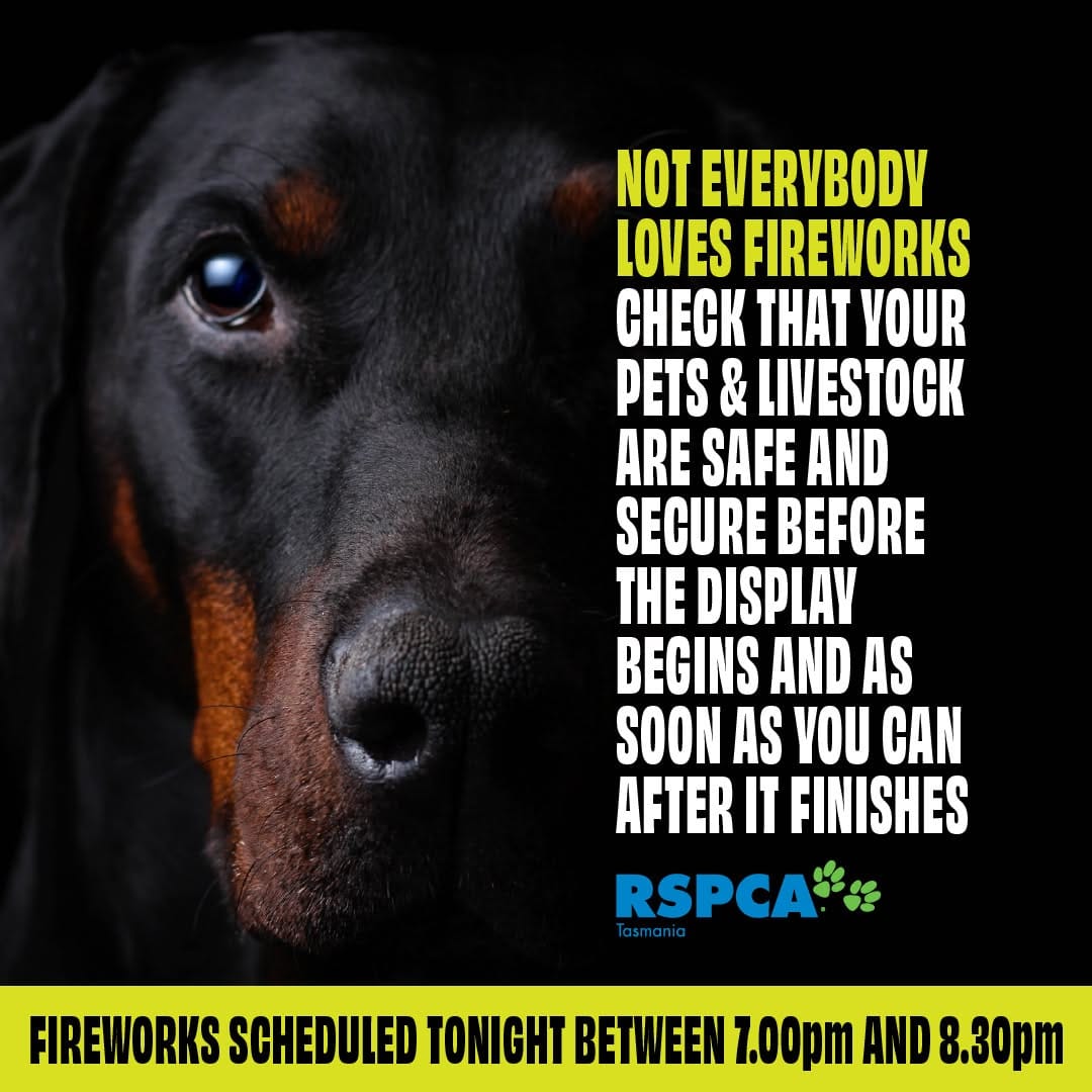 Post 7 by RSPCA Tasmania on Instagram (image)