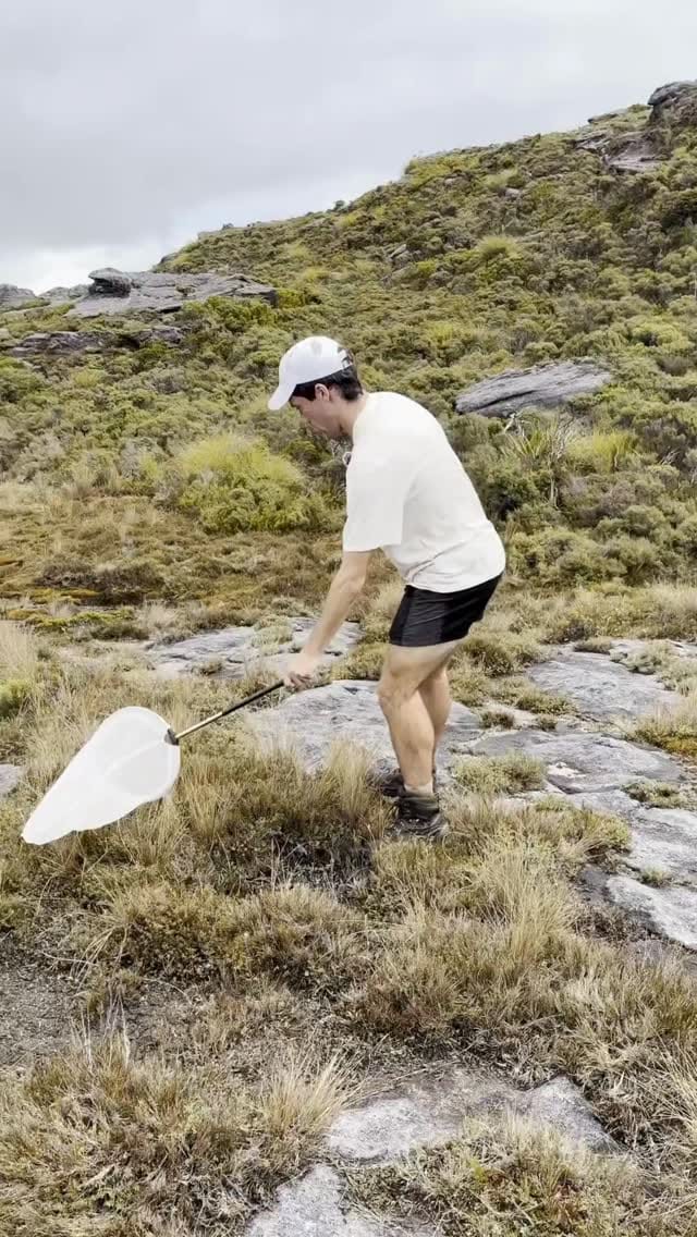 Post 3 by Forest & Bird on Instagram (video)