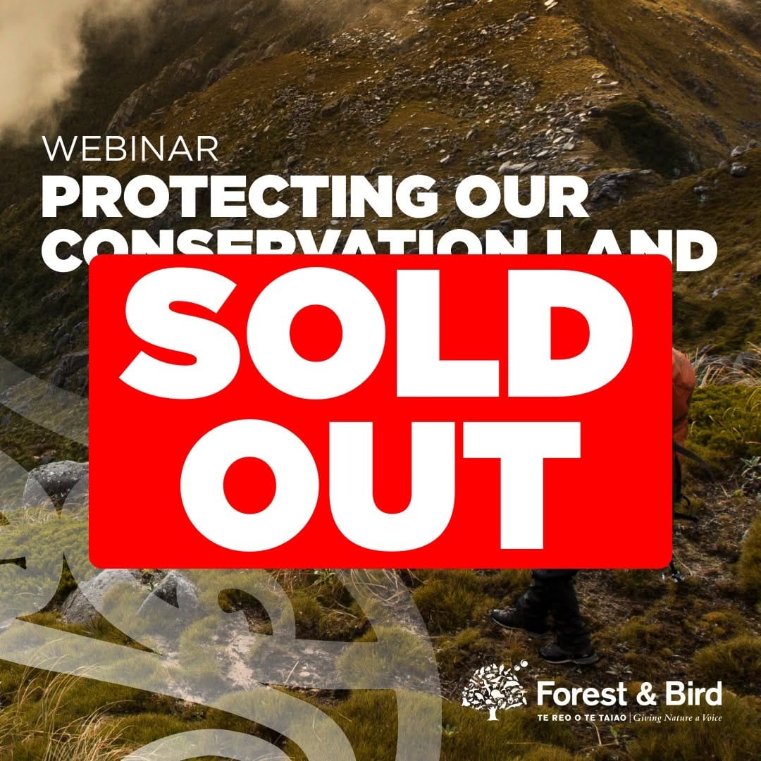 Post 6 by Forest & Bird on Instagram (image)