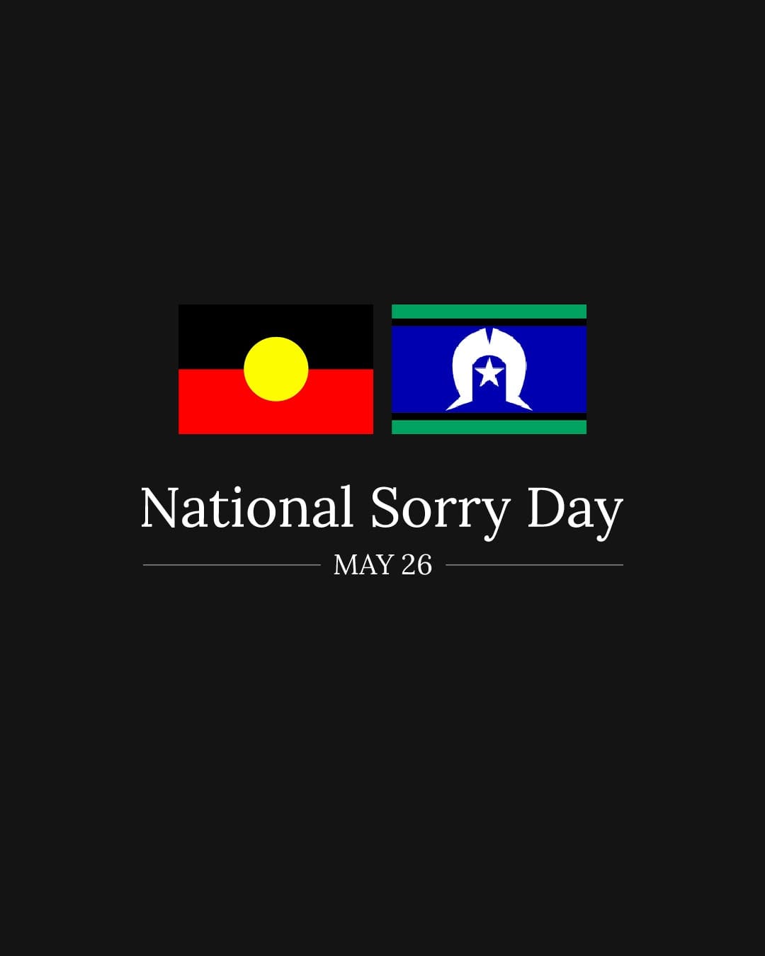 Post 7 by NSW Labor on Instagram (image)