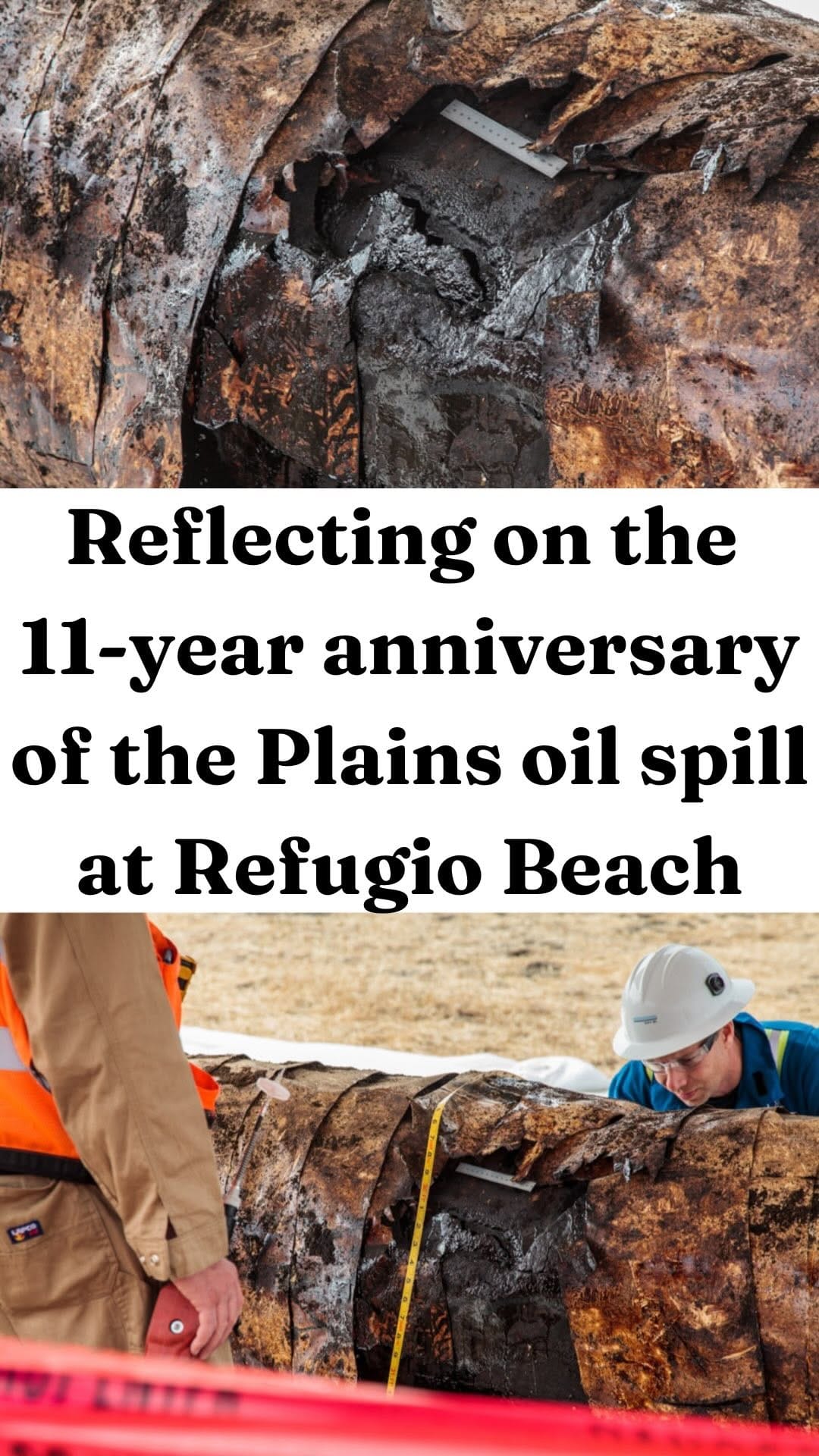 Post 6 by Environmental Defense Center on Instagram (video)