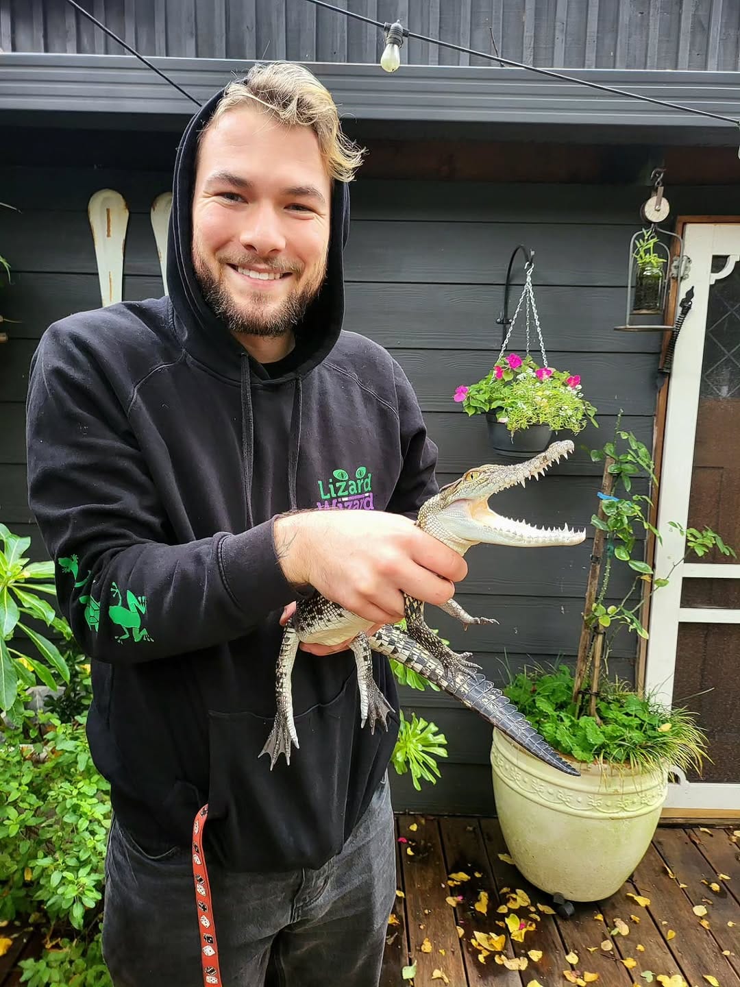 Post 5 by The Lizard Wizard on Instagram (carousel)