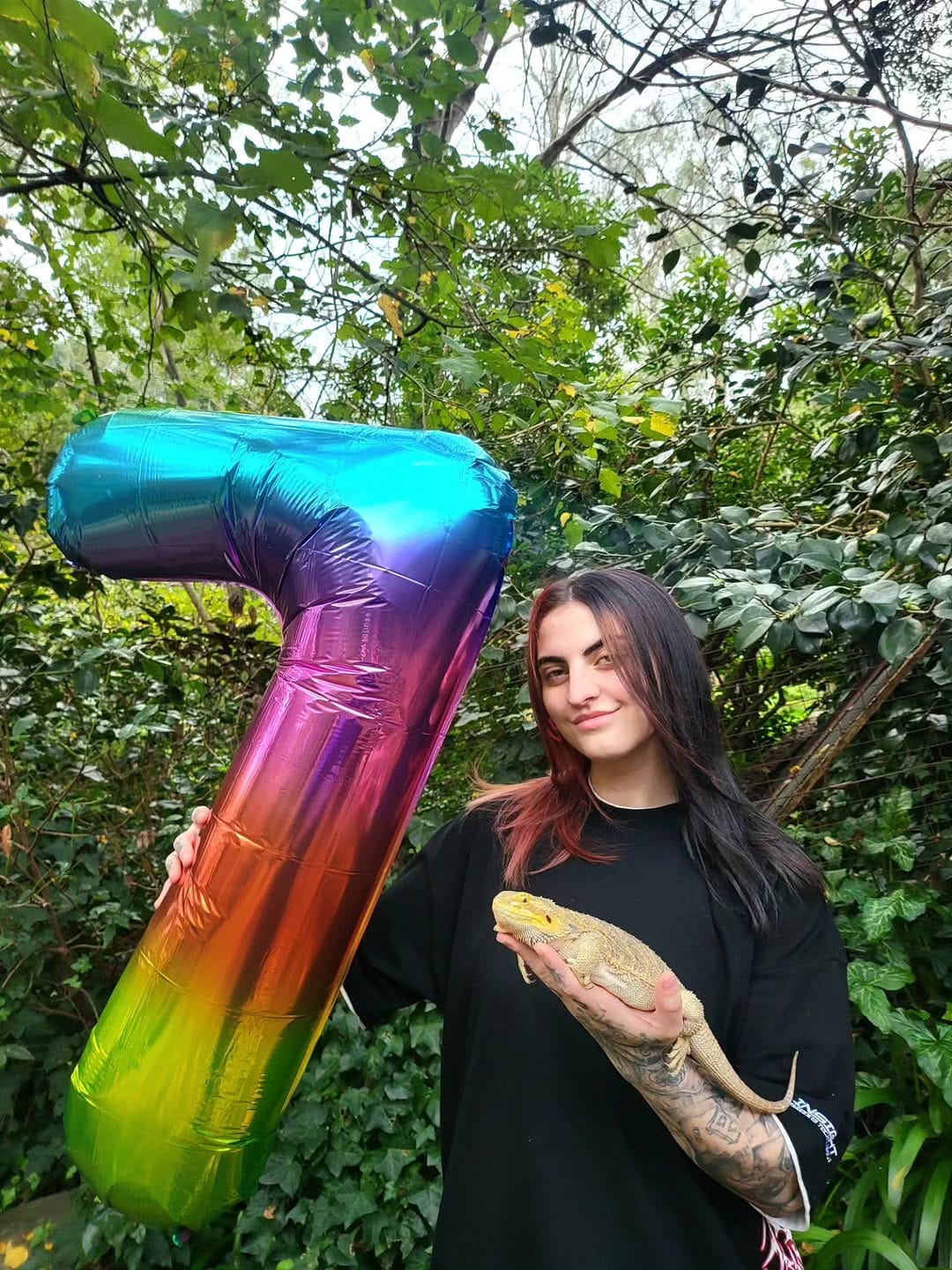 Post 6 by The Lizard Wizard on Instagram (carousel)