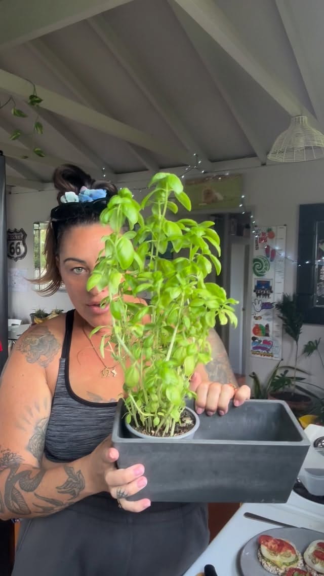 Post 7 by Dusty’s Delicious Dishes - High Frequency Food For The Soul on Instagram (video)