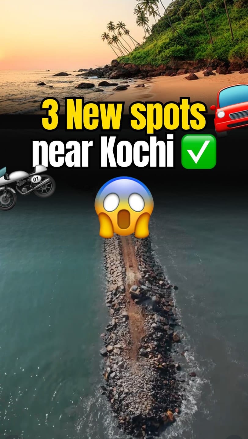 Post 3 by Friends on Wheels on Instagram (video)