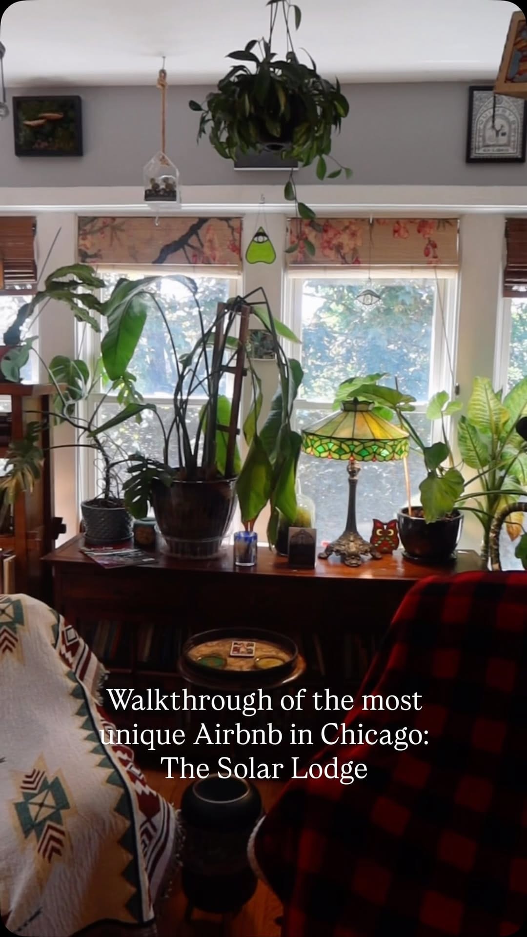 Post 1 by Brittany Parmely | House Plant Clubbin’ Founder on Instagram (video)