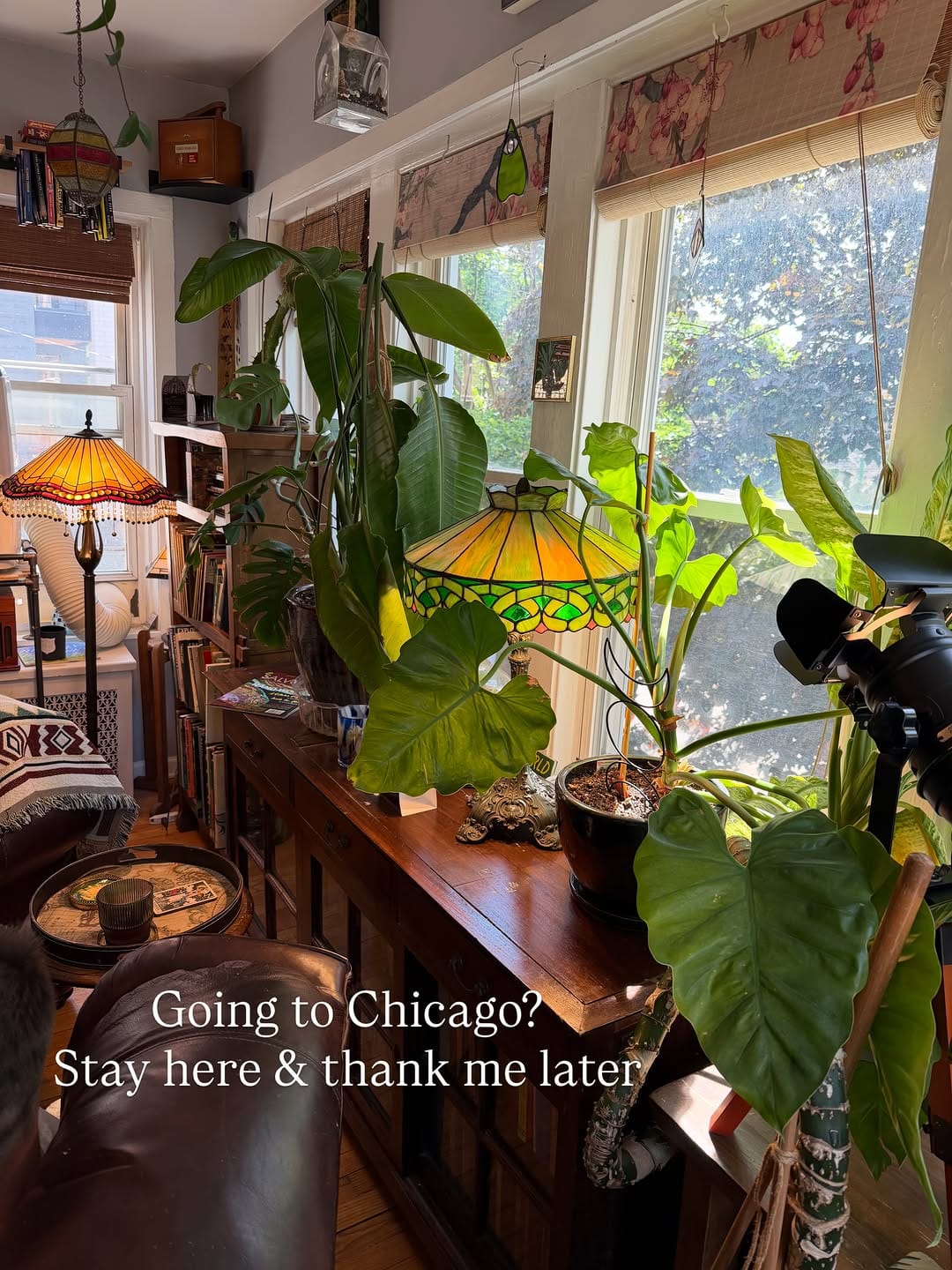 Post 2 by Brittany Parmely | House Plant Clubbin’ Founder on Instagram (carousel)