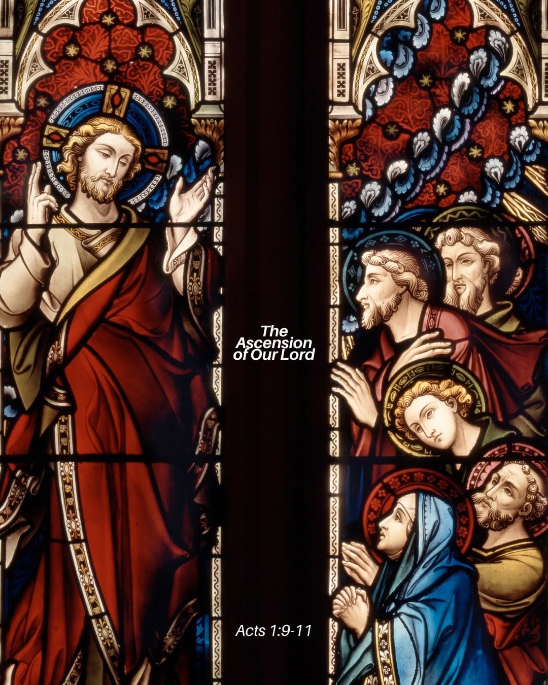 Post 4 by St Mary's Cathedral, Sydney on Instagram (image)