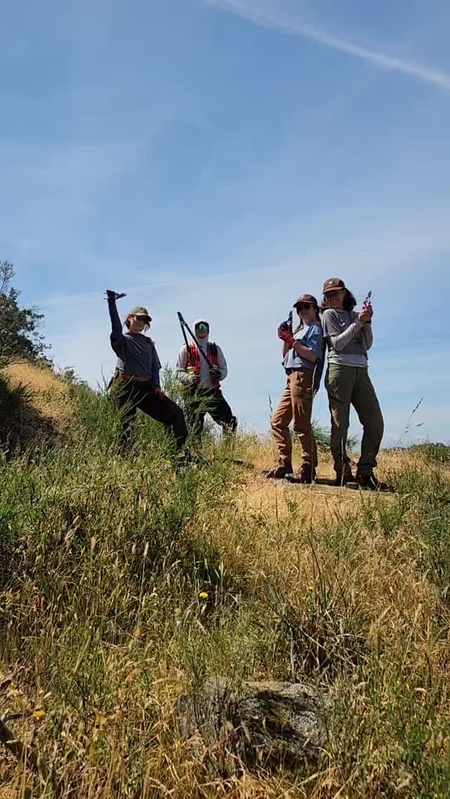 Post 5 by Habitat Acquisition Trust on Instagram (video)