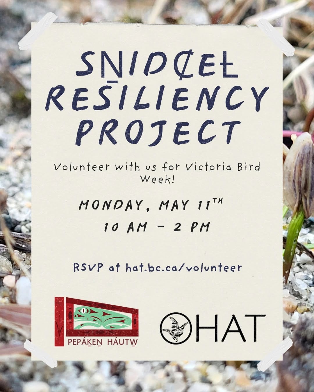 Post 10 by Habitat Acquisition Trust on Instagram (image)