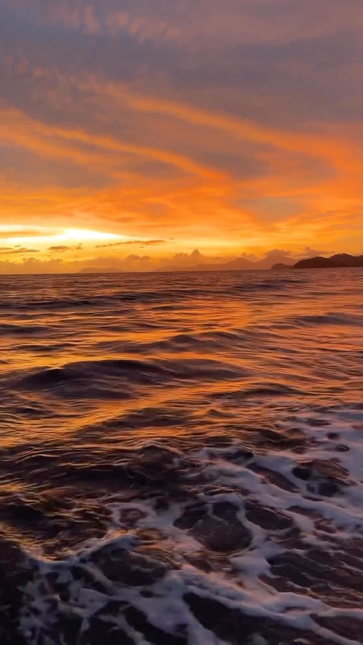 Post 5 by #CairnsAustralia 🌏 on Instagram (video)