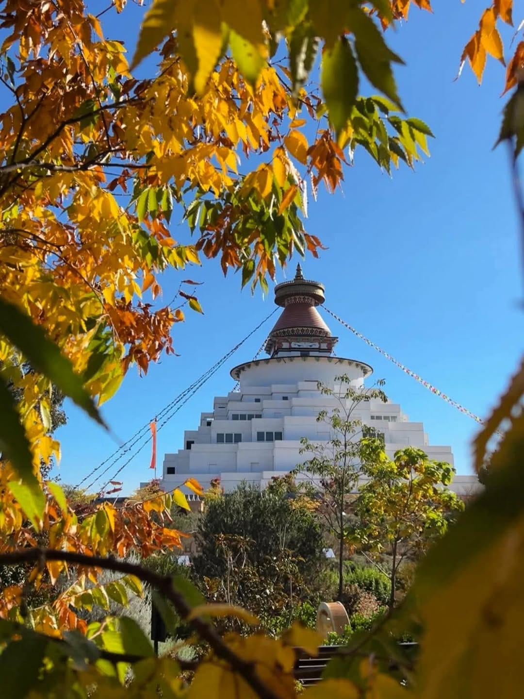 Post 10 by The Great Stupa on Instagram (image)