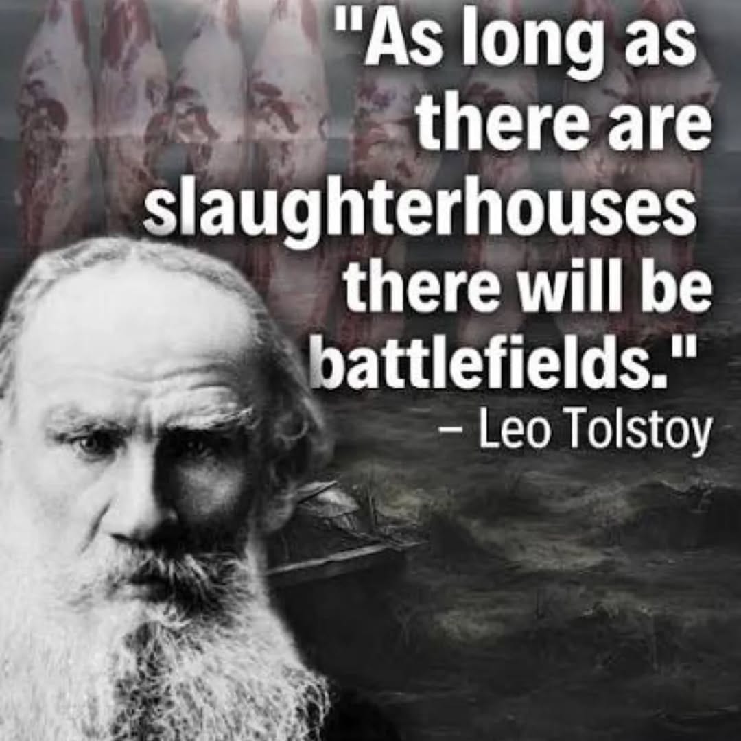 Post 1 by ⠀⠀⠀⠀⠀⠀⠀⠀Animal Liberation Now! on Instagram (image)