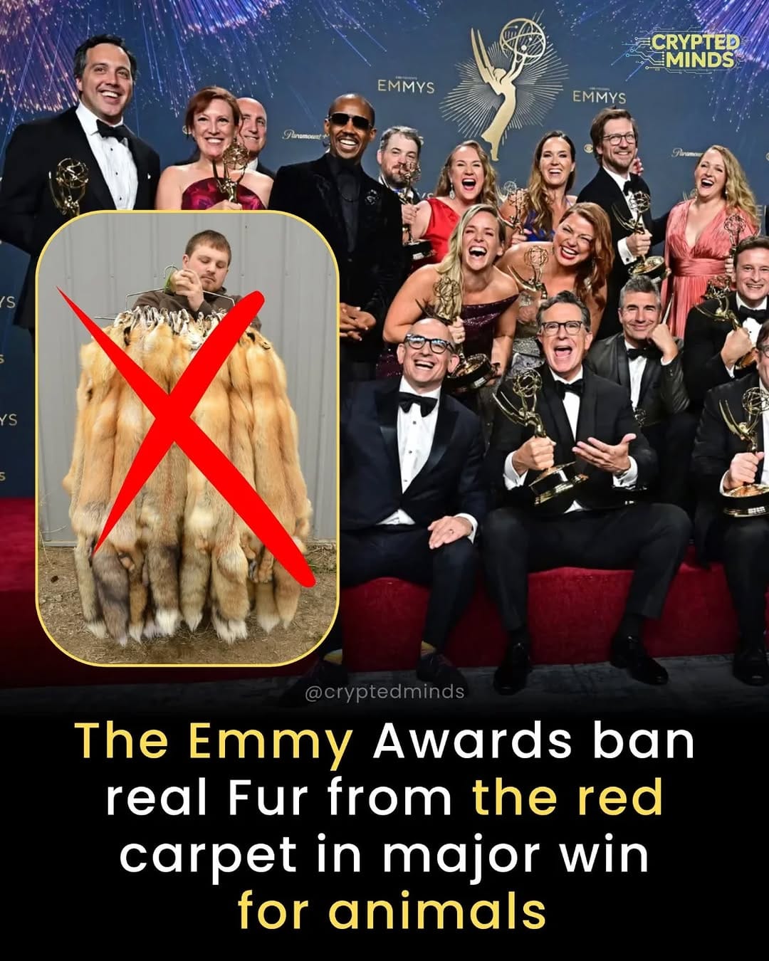 Post 10 by ⠀⠀⠀⠀⠀⠀⠀⠀Animal Liberation Now! on Instagram (image)
