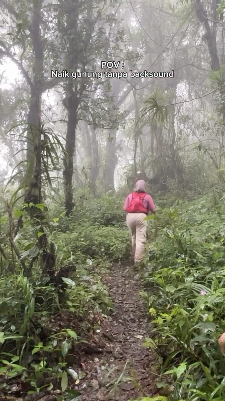 Post 3 by Wisata Trenggalek on Instagram (video)