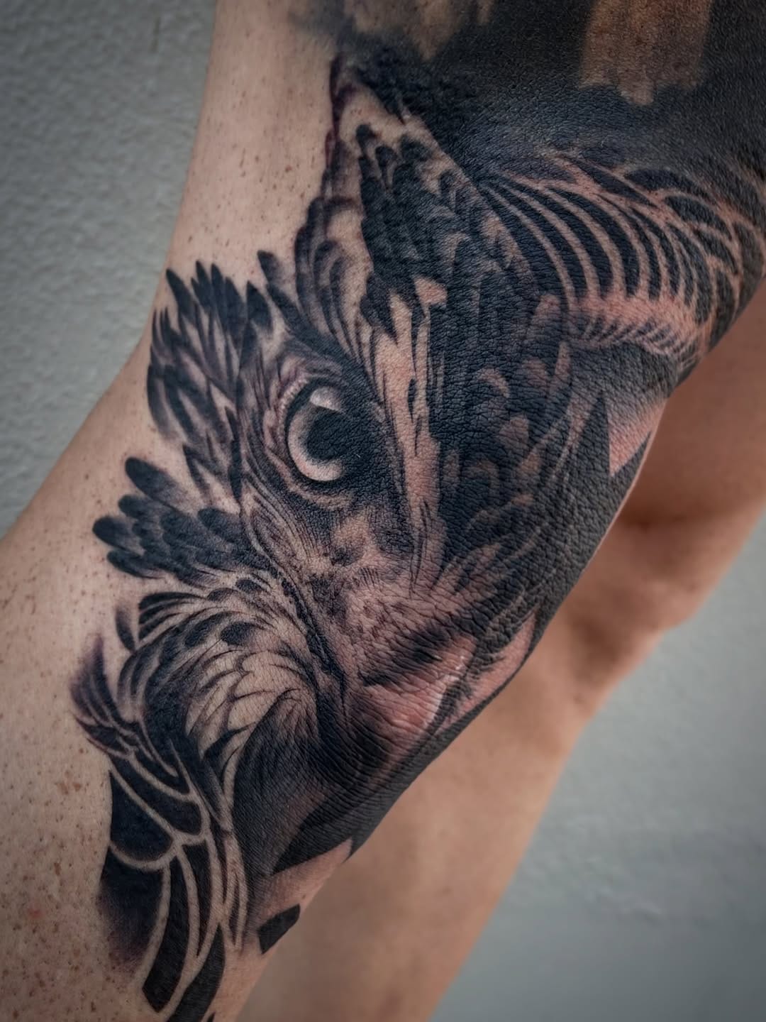 Post 7 by Samantha Sharland on Instagram (image)
