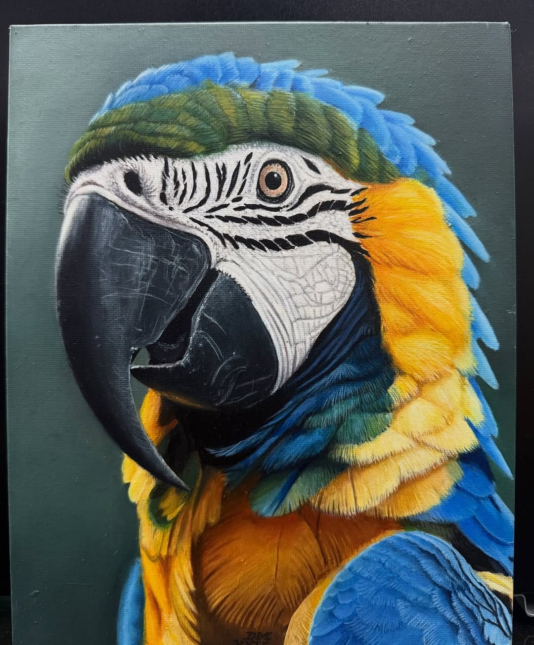 Post 1 by Diego Mickey on Instagram (image)