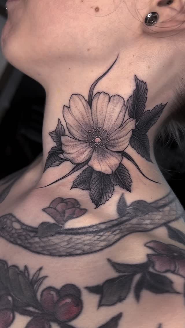 Post 6 by Jesse Page on Instagram (video)