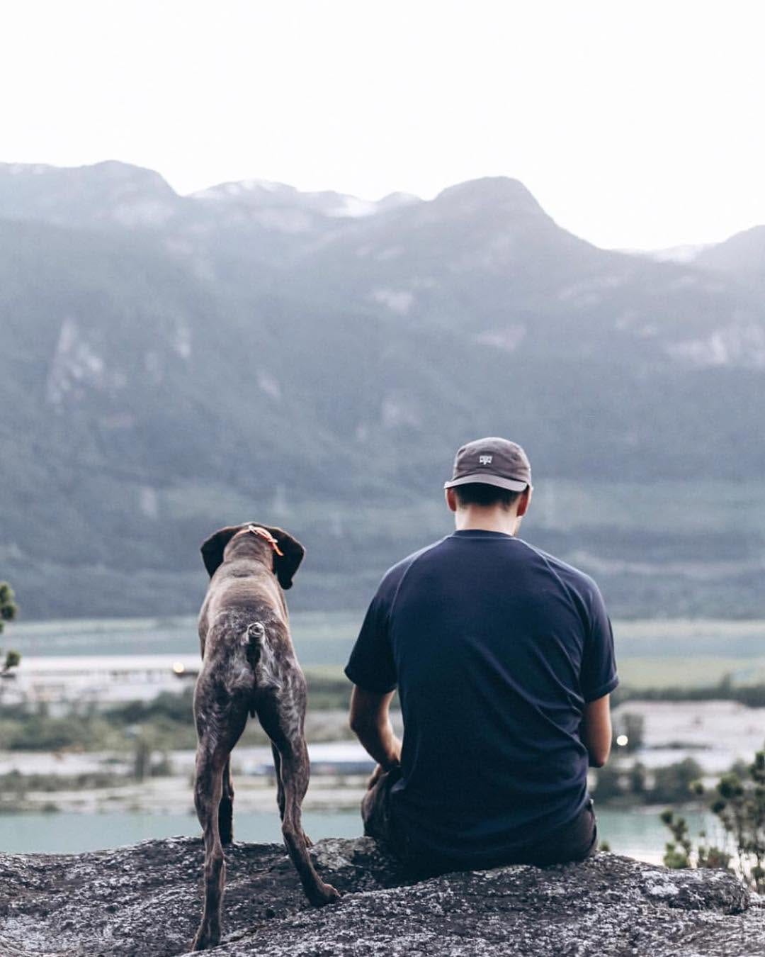 Post 9 by Pups of Sydney on Instagram (image)