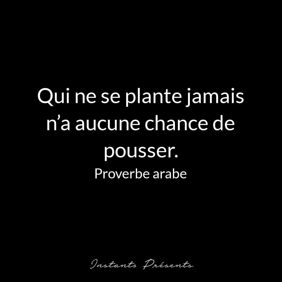 Post 5 by Instants Présents | KAIZEN on Instagram (image)