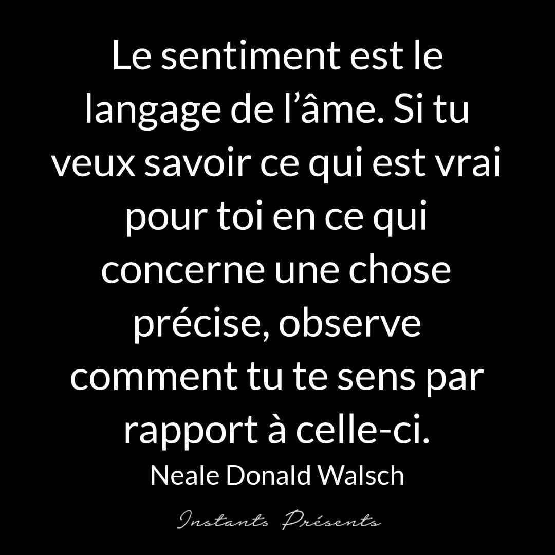 Post 9 by Instants Présents | KAIZEN on Instagram (image)