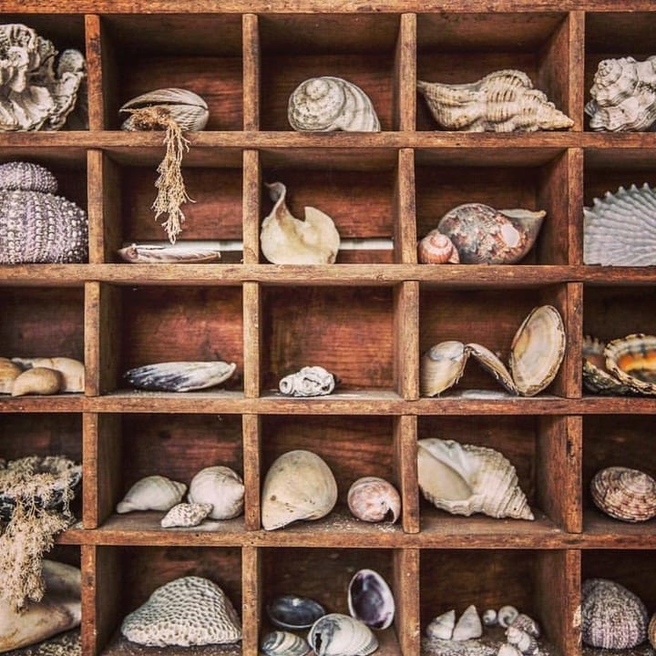 Post 10 by Furneaux Collective Inc on Instagram (image)