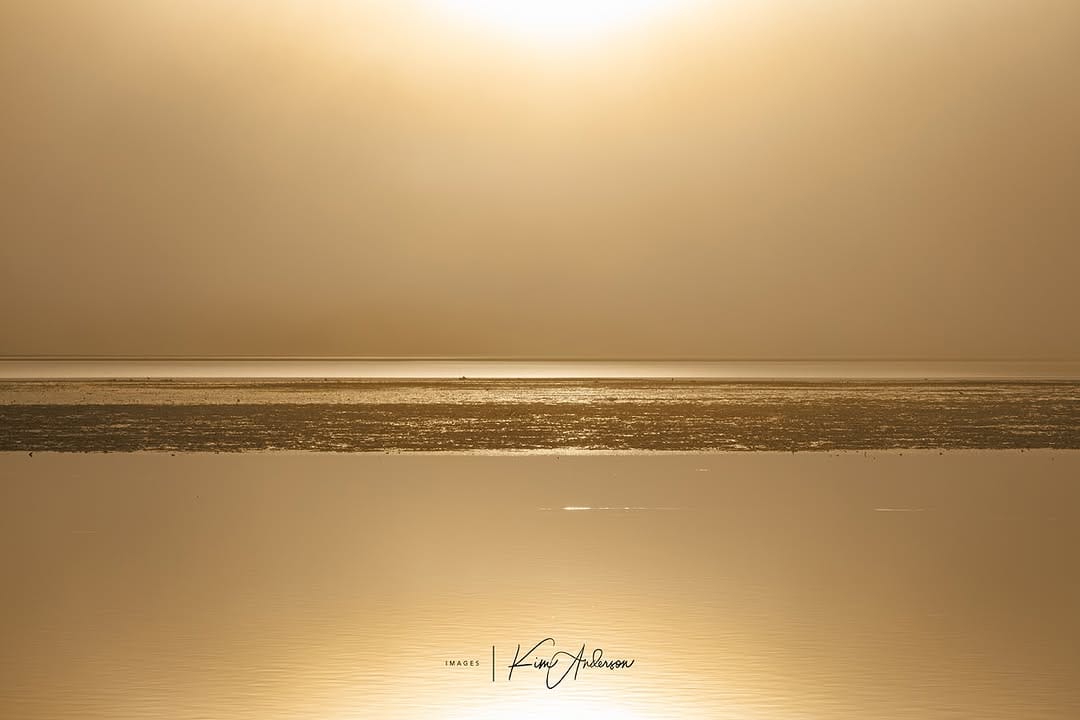 Post 10 by Kim Anderson Images on Instagram (image)