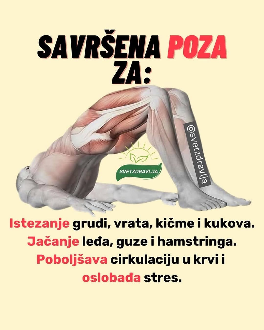 Post 5 by svetzdravlja on Instagram (image)