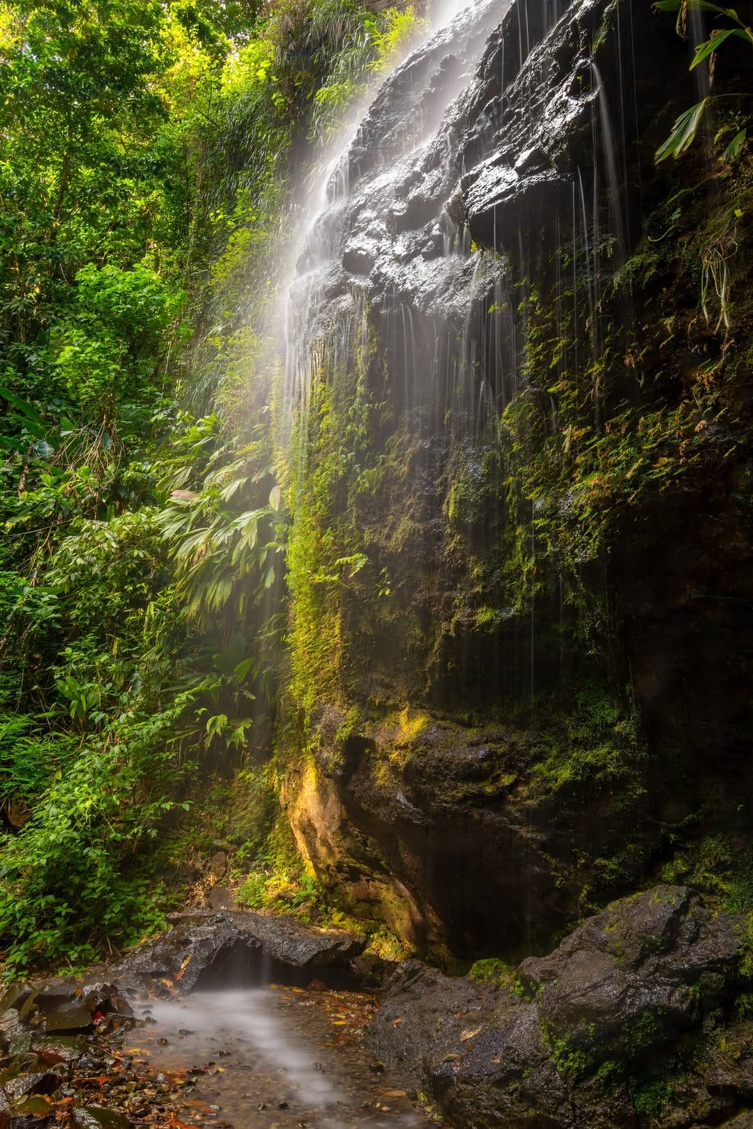 Post 10 by Palm Villas Martinique on Instagram (image)