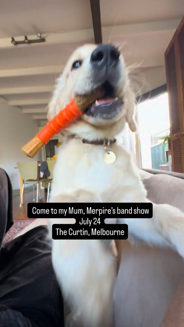 Post 5 by Merpire on Instagram (video)