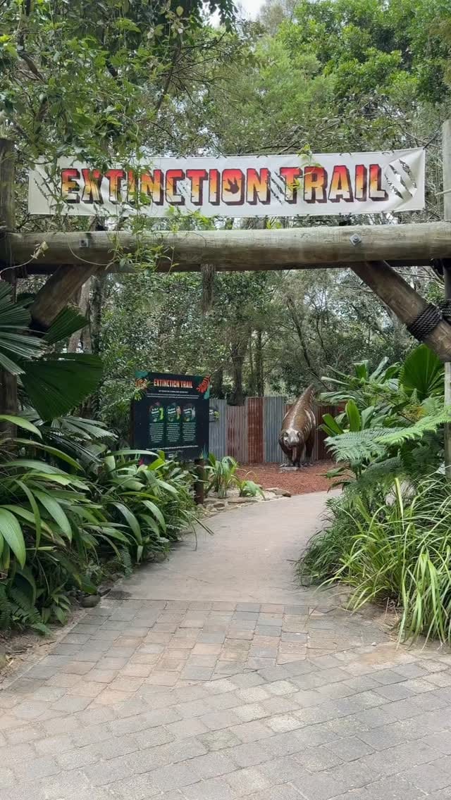 Post 4 by Currumbin Wildlife Sanctuary on Instagram (video)