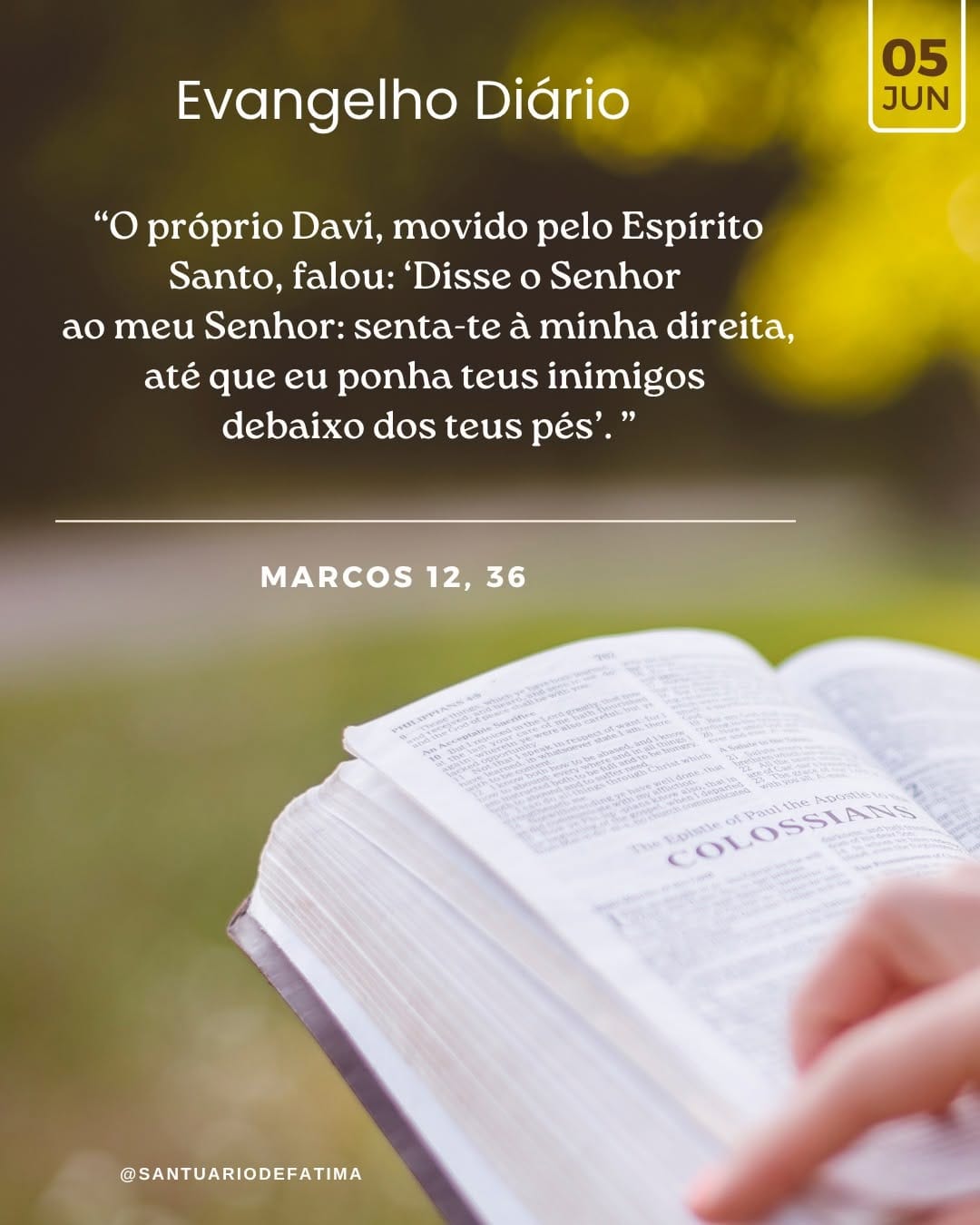 Post 2 by Santuário de Fátima on Instagram (image)